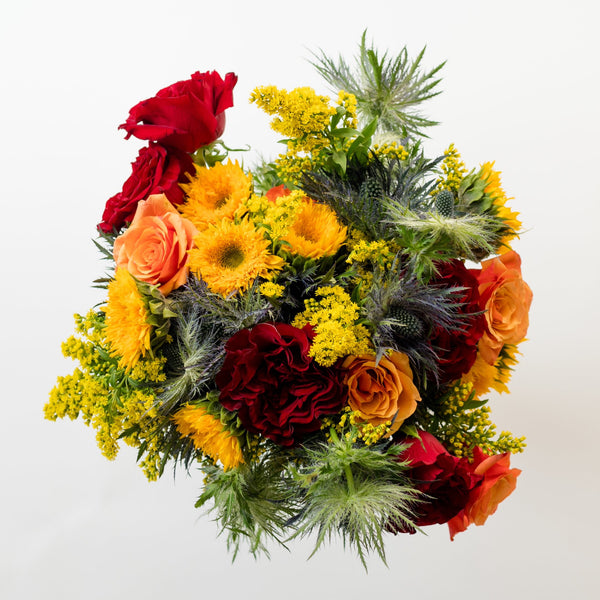 Large Aerial Jackpot