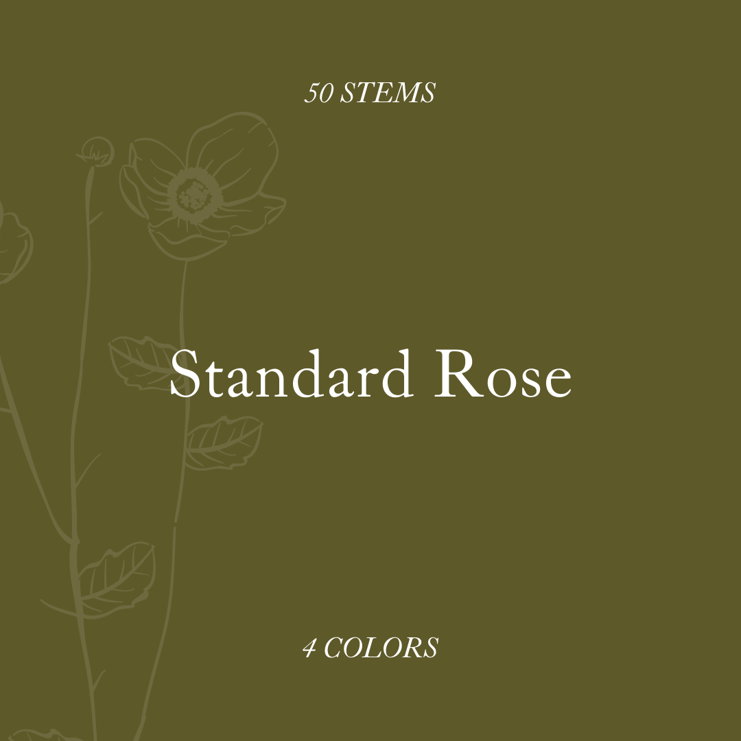 Standard rose title card. 50 stems.