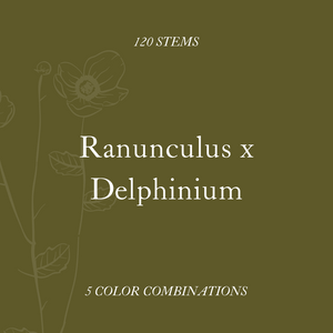 Ranunculus x Delphinium